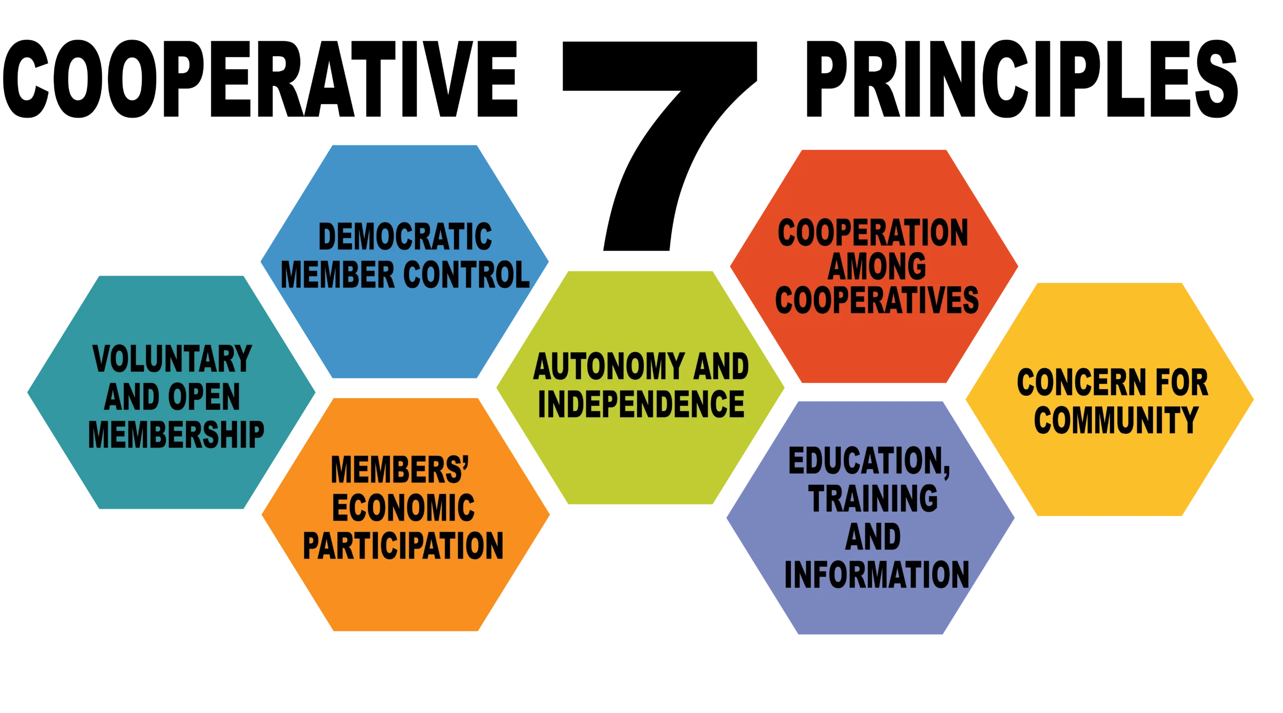 Cooperative 7 principles